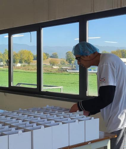 Mind The Pack confezionamento manuale